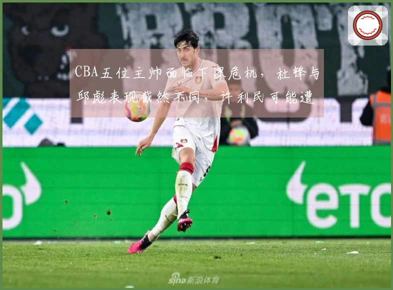 CBA五位主帅面临下课危机，杜锋与邱彪表现截然不同，许利民可能遭李楠接替
