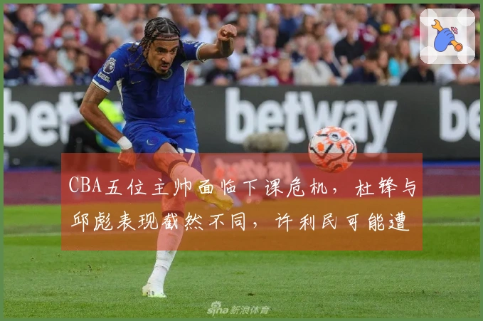CBA五位主帅面临下课危机，杜锋与邱彪表现截然不同，许利民可能遭李楠接替